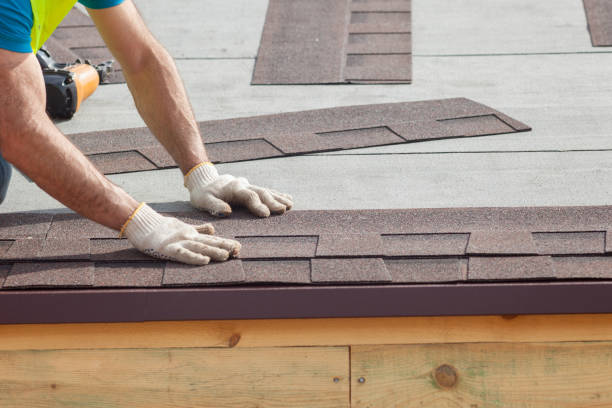 Best Skylight Installation and Repair  in Manassas Park, VA